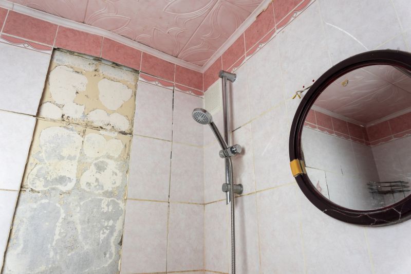 Top Shower Remodeling Companies in Parrish, FL